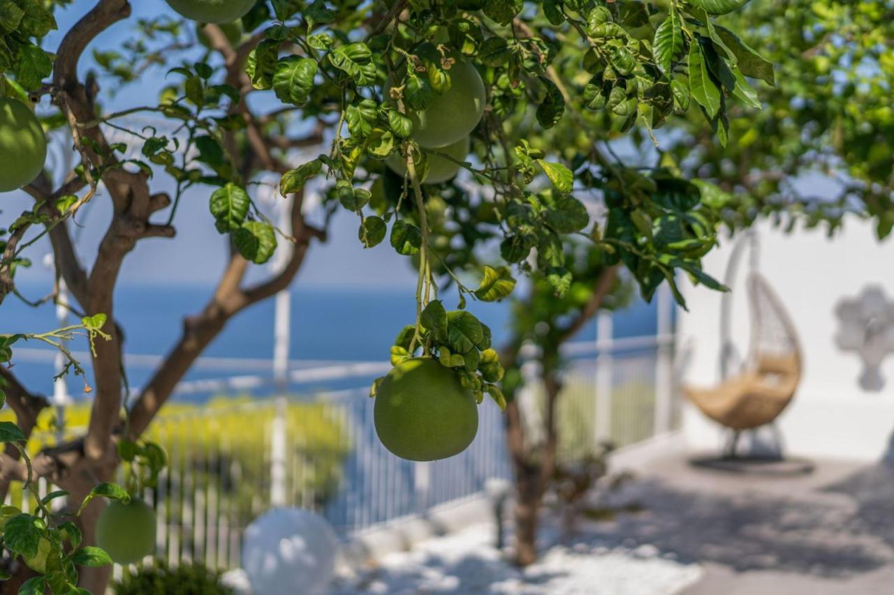 Villa La Pagaia Sorrento Coast Vico Equense Exterior foto